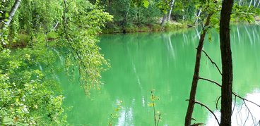 Ożarowskie „morskie oko” - perełka wśród lasów Nadleśnictwa Wieluń